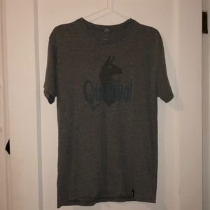 Cotopaxi Questival Tee